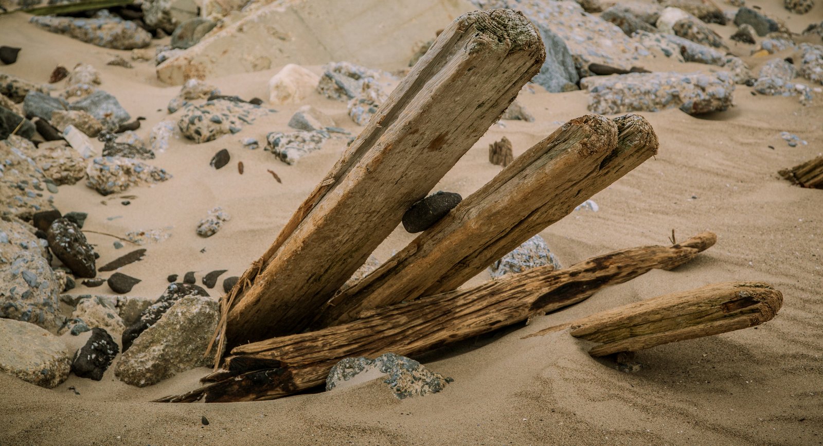 art-of-sandy-mo-seagate 2-59.jpg